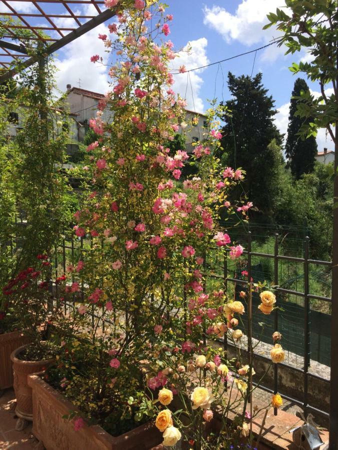 La Casina Delle Rondini Guest House Corsanico-Bargecchia Exterior photo